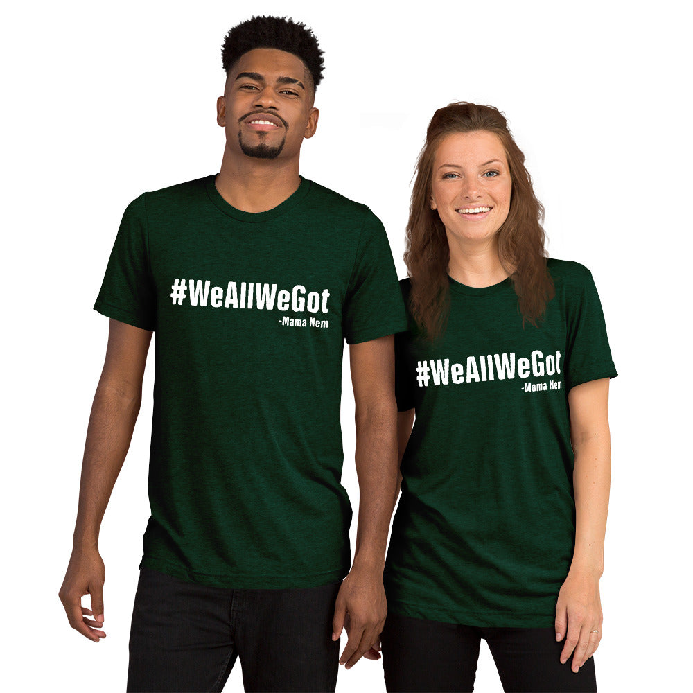 WeAllWeGet unisex Tri-Blend  t-shirt - That Family Reunion Chick