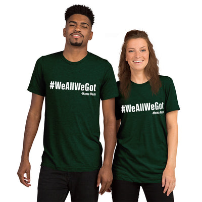 WeAllWeGet unisex Tri-Blend  t-shirt - That Family Reunion Chick