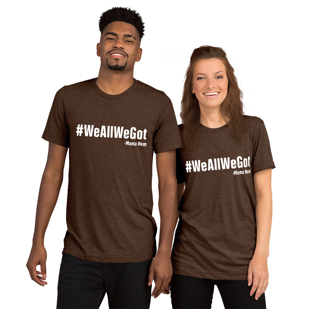 WeAllWeGet unisex Tri-Blend  t-shirt - That Family Reunion Chick